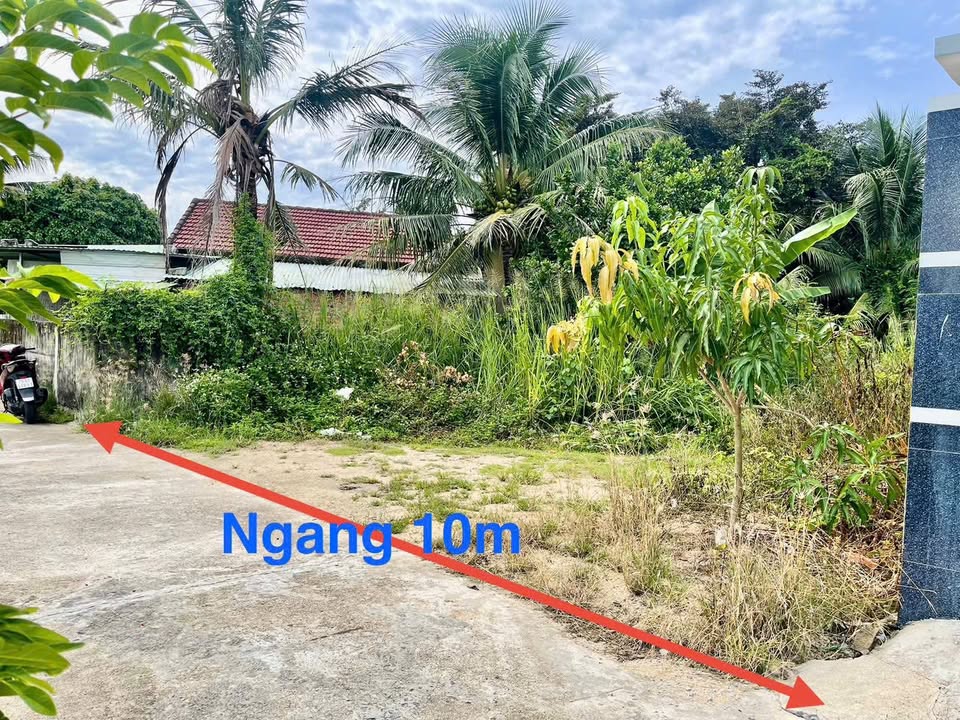 Lô đất thổ cư xã Diên Bình, Khánh Hòa 240m² giá 1.55 tỷ - Cơ hội đầu tư tuyệt vời!