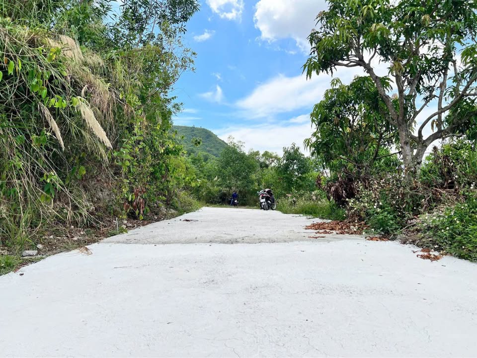 Đất Farm Tỉnh Lộ 3, Suối Cát 29.000m² giá 2.5 tỷ - Cơ hội đầu tư tuyệt vời!