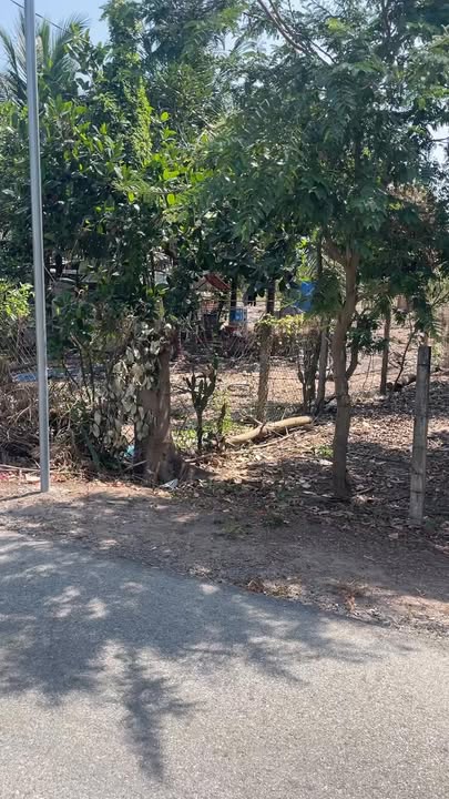 Đất thổ cư mặt tiền đường nhựa TT Phước Hải 510m² giá 3 tỷ - Cơ hội đầu tư tuyệt vời!