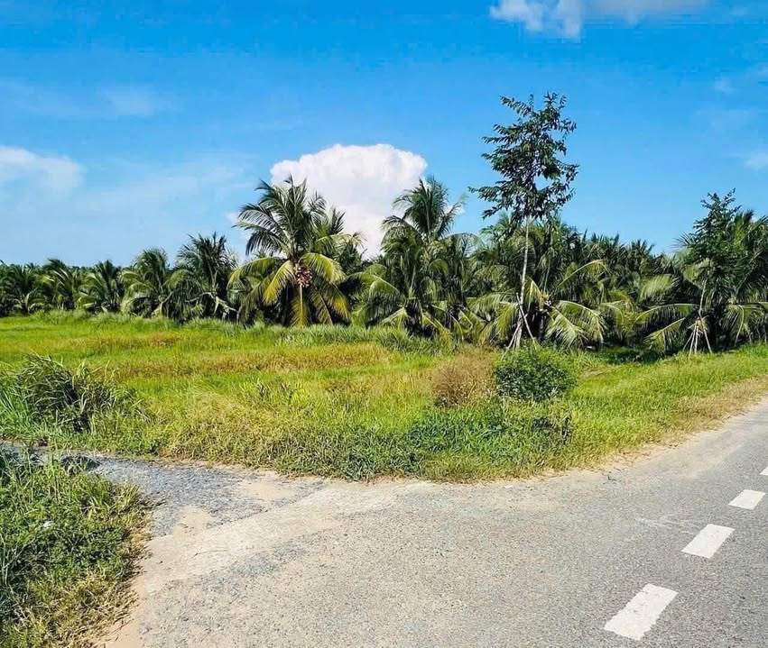 Đất thổ cư mặt tiền 173 Sơn Đông, Bến Tre 1182m² - Cơ hội đầu tư tuyệt vời!