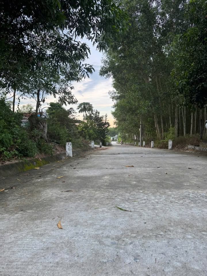 Đất thổ cư 139m² tại Tân Phong, Đức Phổ - Giá chỉ từ 200 triệu!