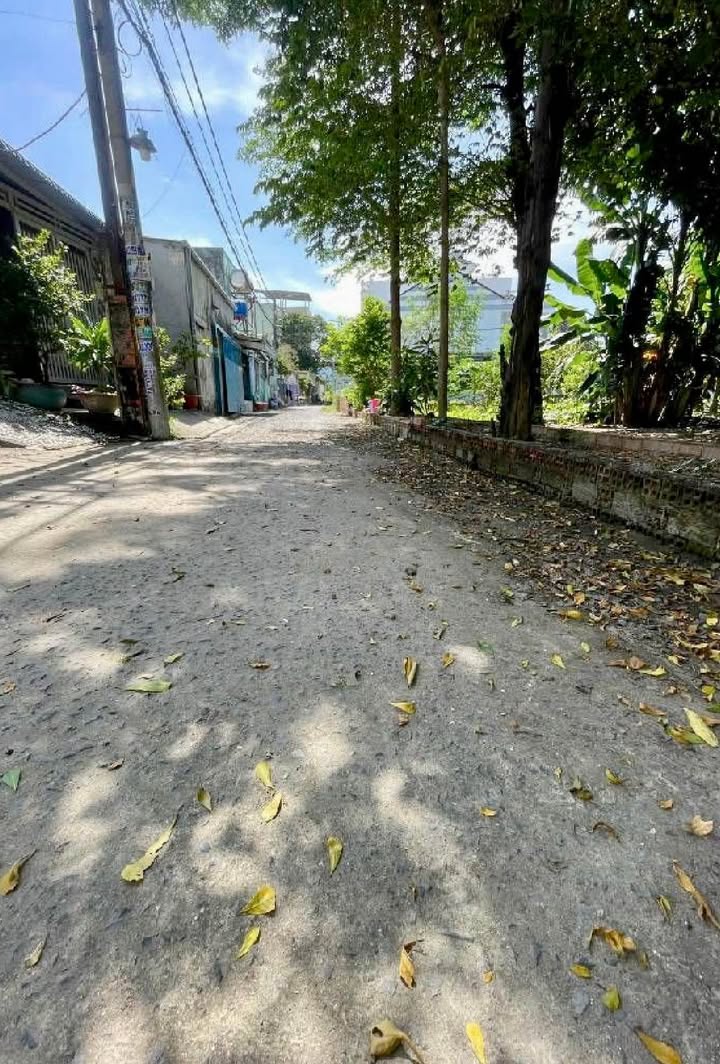 Đất nền liền kề ấp Mỹ Hòa 3, Hóc Môn 2000m² giá từ 4 tỷ - Pháp lý rõ ràng, tách sổ nhanh!