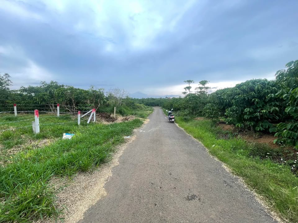 Đất thổ cư Lộc An, Bảo Lâm 230m² giá chỉ 690 triệu - Cơ hội đầu tư hấp dẫn!