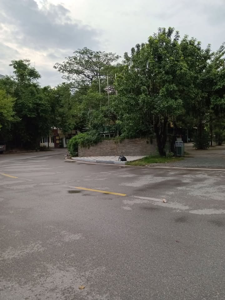 Đất nền phố Thúy Lĩnh 60m² giá 2 tỷ - Pháp lý chuẩn, vị trí đắc địa!