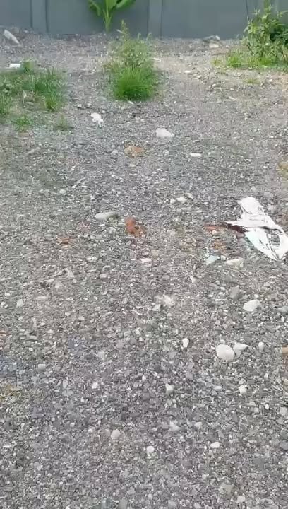 Lô đất thổ cư 200m² tại Huỳnh Kim, Nhơn Hòa - Giá chỉ 1.9 tỷ!