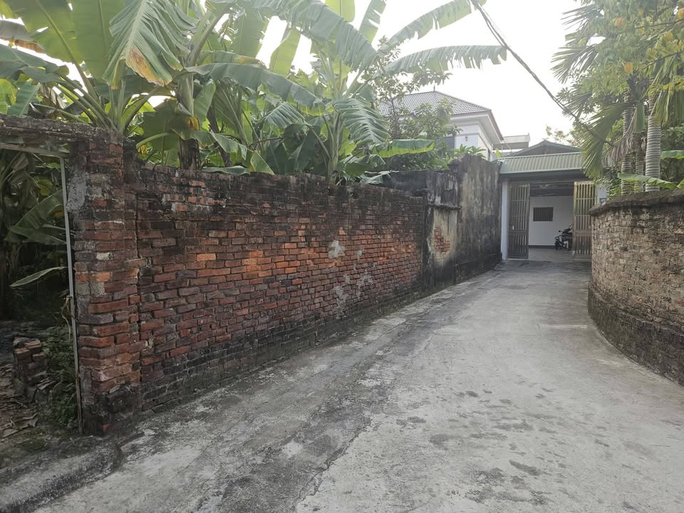 Đất nền thổ cư 288m² tại Thôn Yên Sào, Sóc Sơn, Hà Nội - Giá cực tốt chỉ từ 1x triệu/m²!