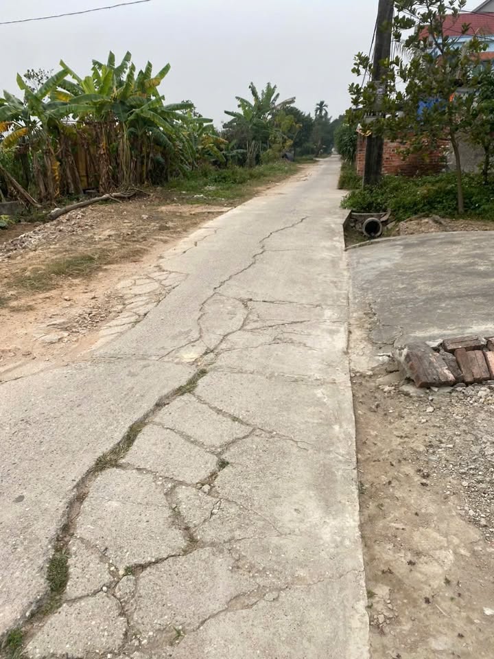 Đất nền Yên Ninh, Sóc Sơn, Hà Nội 95m² giá 2 tỷ - Đường thông tứ phía, cơ hội đầu tư hấp dẫn!