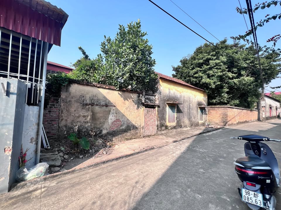 Đất thổ cư Thôn Thái An, Lạng Giang 223.6m² giá 1 tỷ - Cơ hội vàng cho nhà đầu tư!