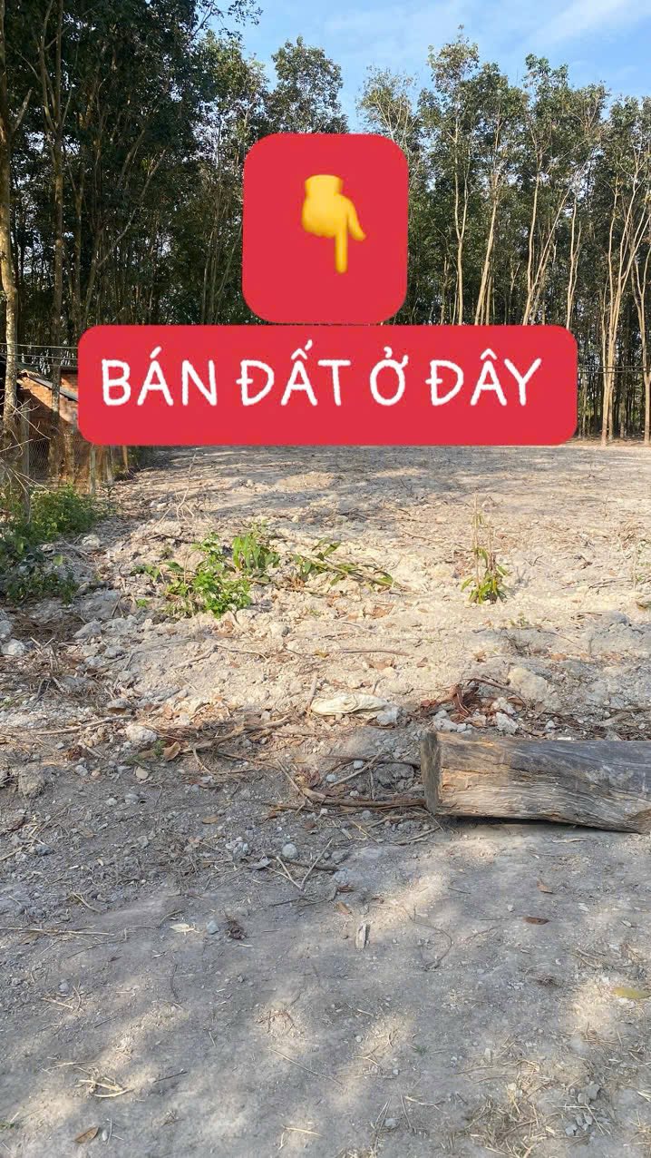 Đất nền Phường Minh Hưng, Chơn Thành 208m² - Sổ hồng chính chủ, giá thỏa thuận!