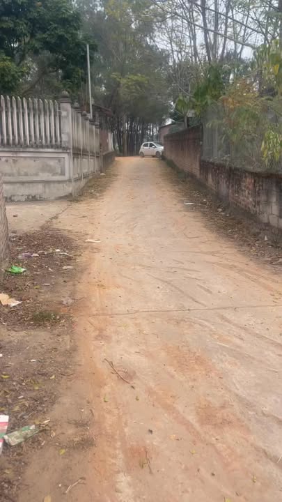 Lô đất Hướng Đạo, Tam Dương 126.8m² giá 8 tỷ - Cơ hội đầu tư tuyệt vời!