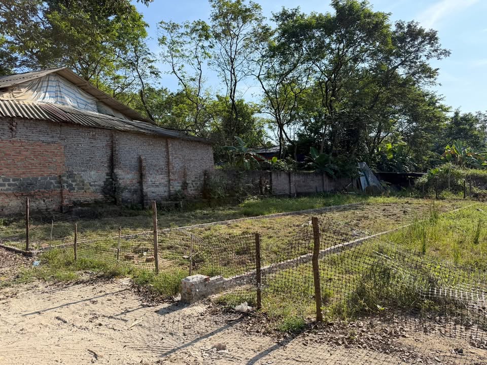 Đất thổ cư 90m² tại Hoàng Đan, Tam Dương - Giá chỉ 600 triệu, đầu tư ngay!