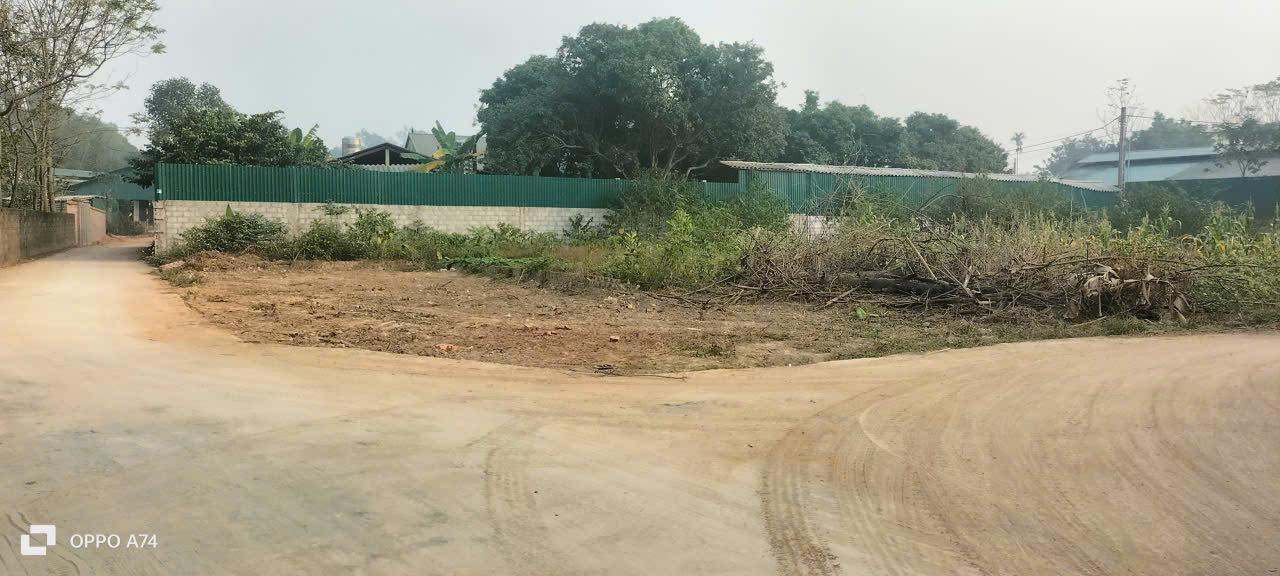 Đất nền thôn Quế, Sông Lô, 108m² giá 1.4 tỷ - Cơ hội đầu tư hấp dẫn!