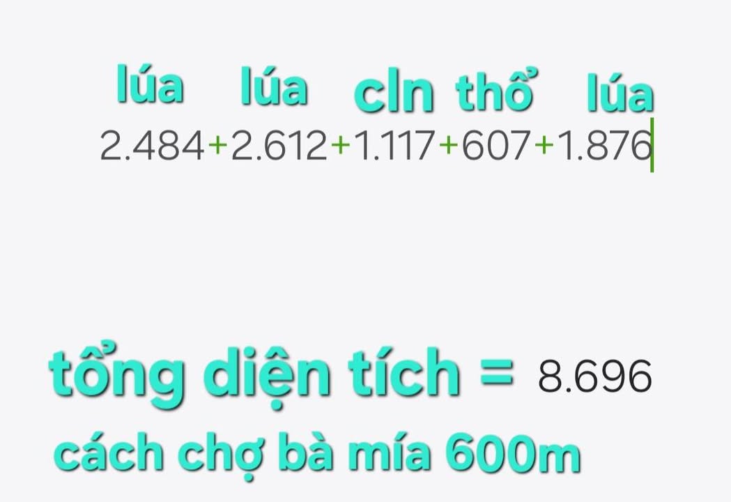 Đất Farm 8000m² tại Ấp Bà Mía, Long An giá 2.72 tỷ - Mặt tiền lộ bê tông ô tô vi vu!