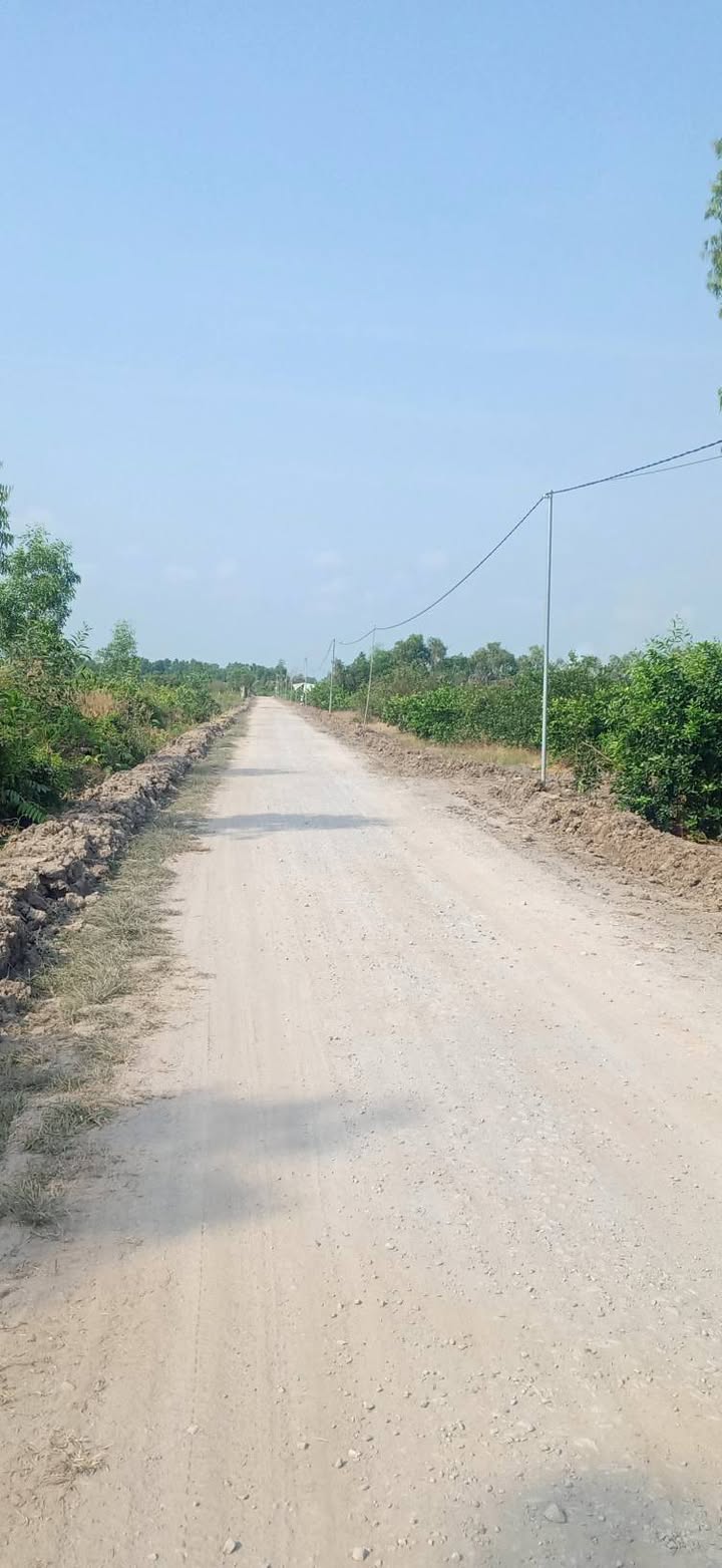 Đất vườn mặt tiền đường Năm Liệt, Bến Lức, 730m² giá 860 triệu - Cơ hội đầu tư tuyệt vời!