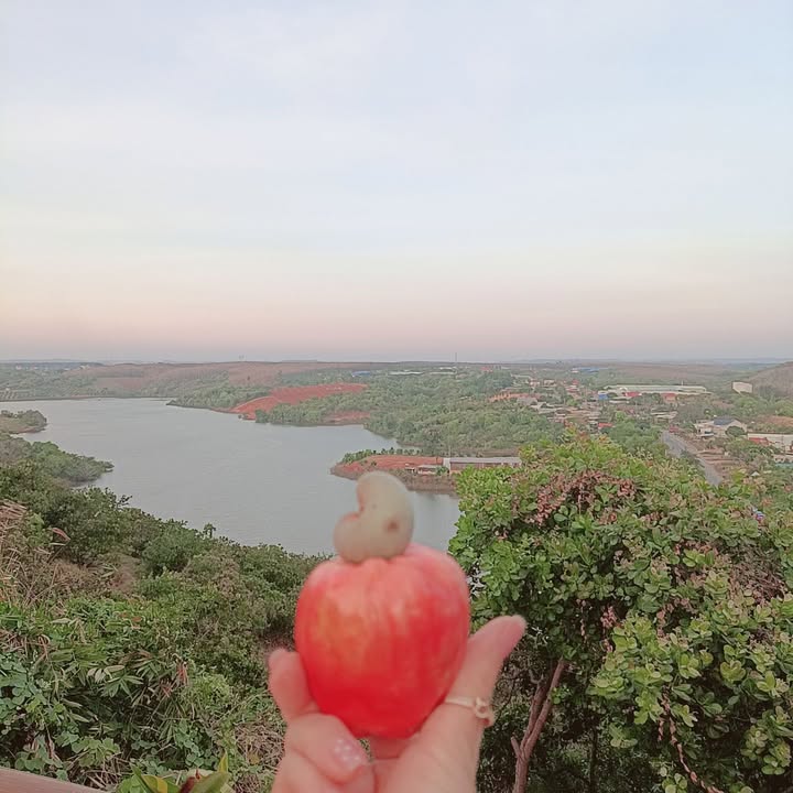 Đất nền Quốc lộ 14, Xã Thọ Sơn, 190000m² giá 7.5 tỷ - Cơ hội đầu tư tuyệt vời!