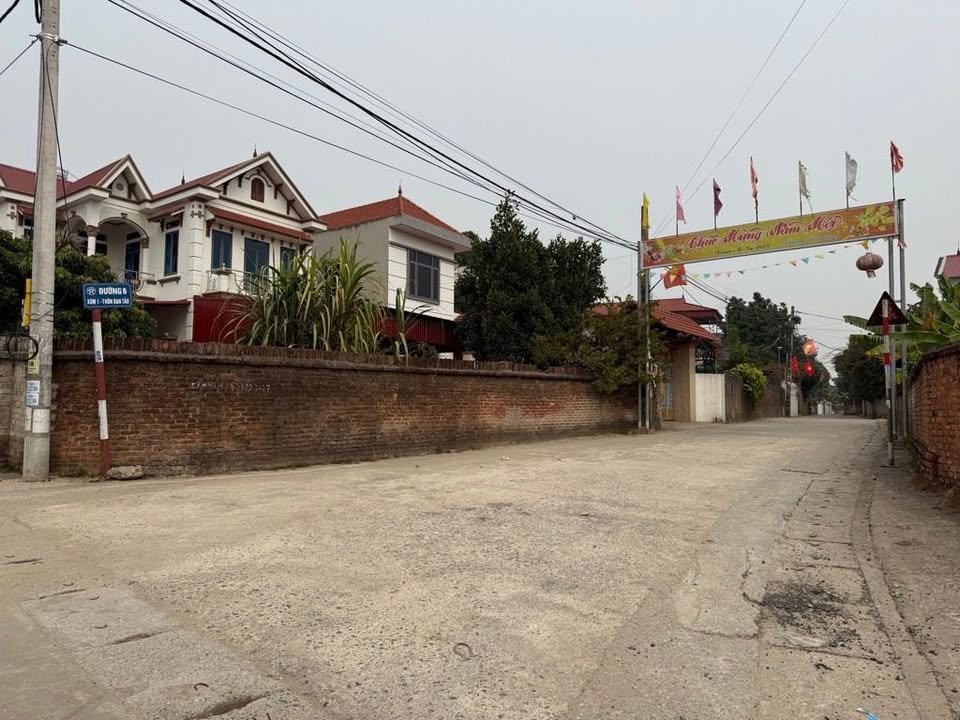 Đất thổ cư Đan Tảo, Tân Minh 80,3m² giá tốt - Đầu tư sinh lời ngay!