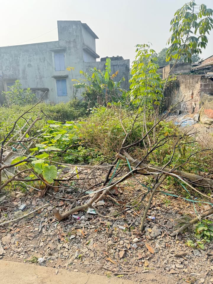 Đất nền ô tô Vũ Hữu Lợi 64.8m² giá 1.x tỷ - Cơ hội đầu tư tuyệt vời!