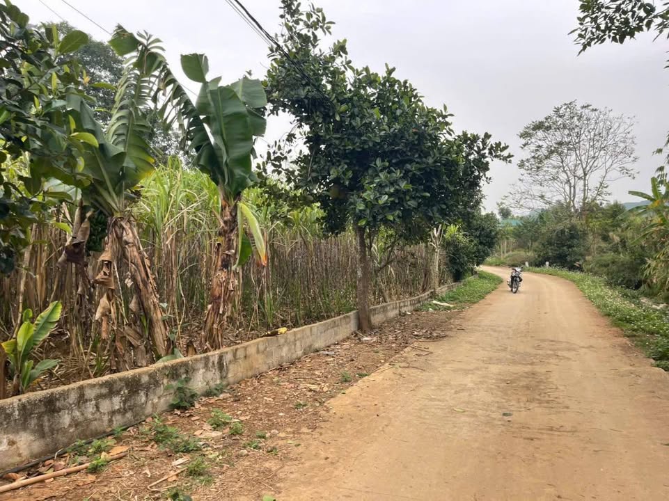 Đất nền Hợp Phong, Cao Phong 1860m² giá 1.xx tỷ - Phù hợp nghỉ dưỡng và phân lô