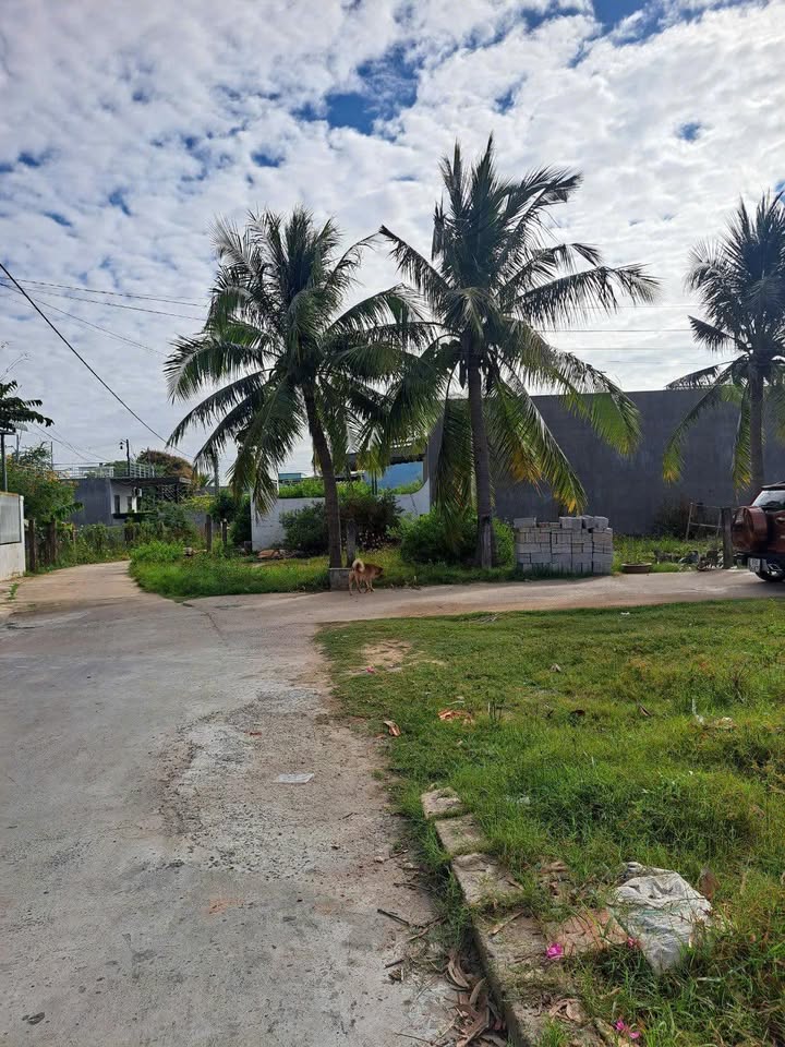 Đất thổ cư Hàm Thắng 140m² giá 800 triệu - Cơ hội đầu tư tốt!