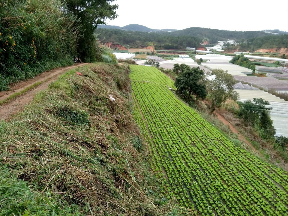 Đất dự án Đà Lạt 2300m² giá 22.8 tỷ - Cơ hội đầu tư sinh lời!