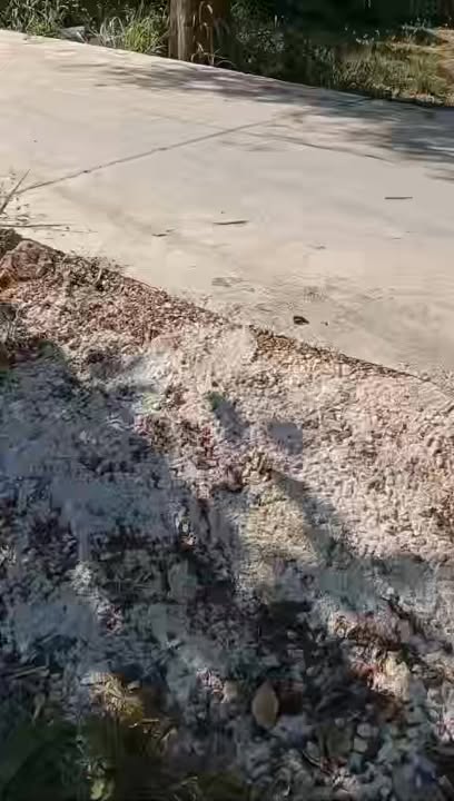 Đất nông nghiệp Hàm Thạnh, Hàm Thuận Nam 3404m² giá 1 tỷ - Đầu tư sinh lời ngay!