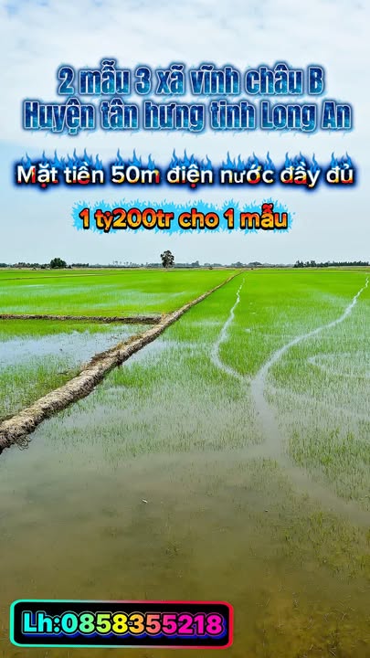 Đất nền xã Vĩnh Châu B, huyện Tân Hưng, Long An 23,600m² giá chỉ 1.2 tỷ - Cơ hội đầu tư tuyệt vời!