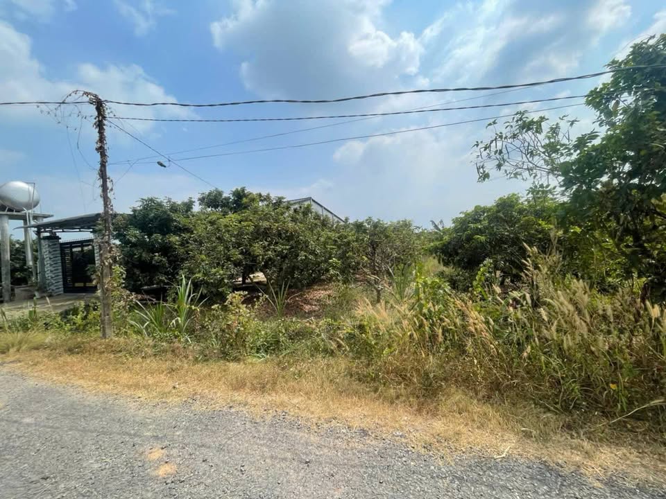 Đất nền mặt tiền LHQH 30m, Phường Gia Lộc, Tây Ninh 1040m² - Giá chỉ 2.1 tỷ!