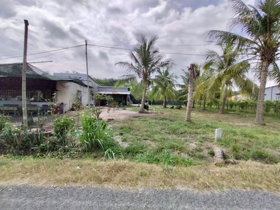 Đất thổ cư Gia Lộc Trảng Bàng 166m² giá 650 triệu - Đầu tư sinh lời hấp dẫn!