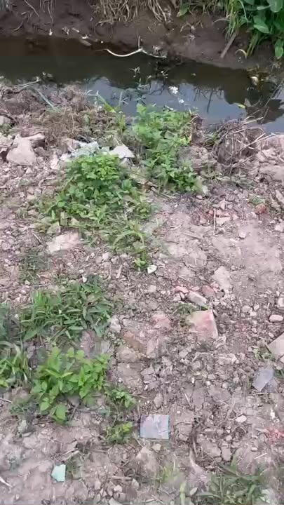 Đất nền xã Phú Thọ, huyện Kim Động, Hưng Yên 200m² - Cơ hội đầu tư hiếm có!