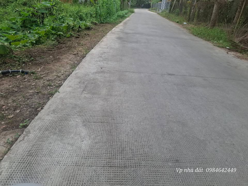 Đất thổ cư 150m² tại Phước Mỹ Trung, 3.290m² chỉ 2.8 tỷ - Cơ hội đầu tư hấp dẫn!