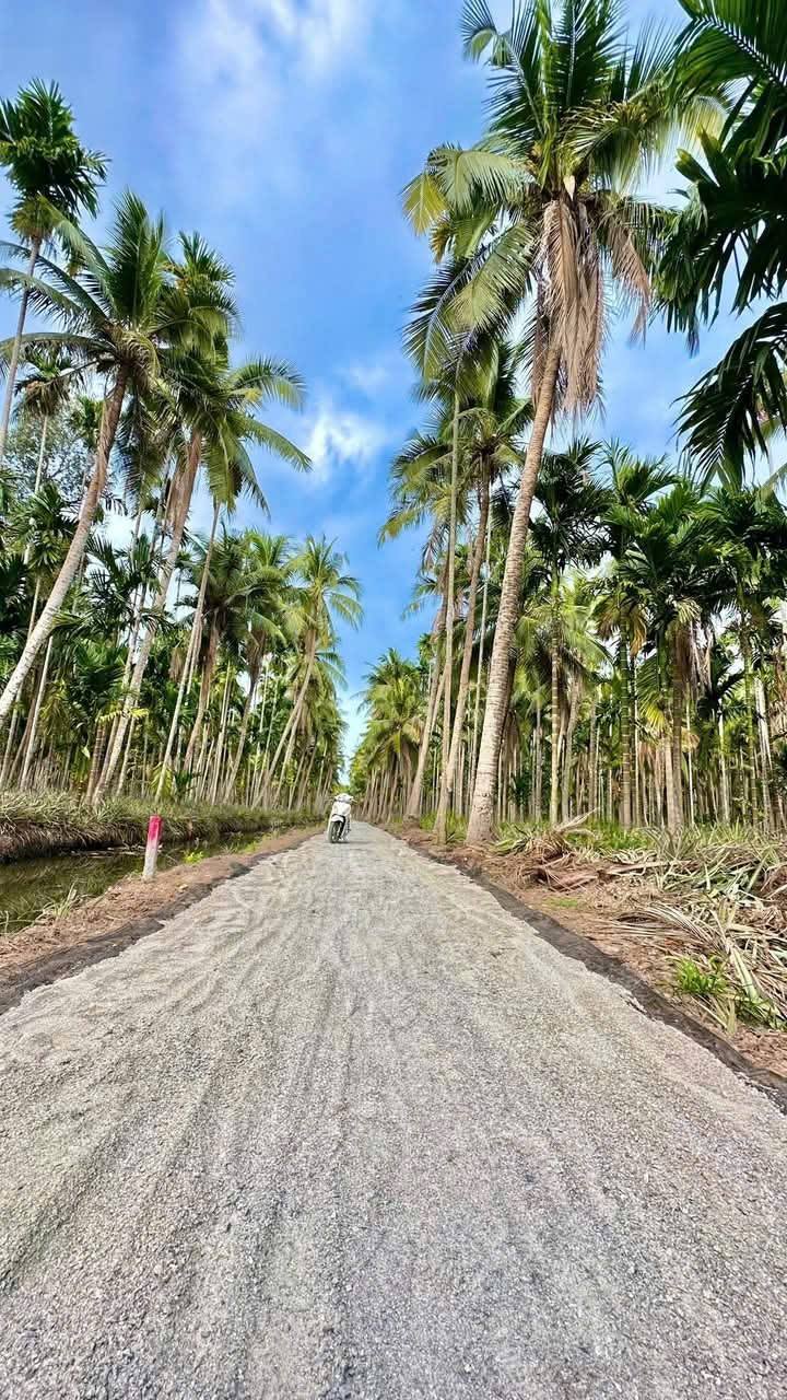 Đất vườn 2000m² xã Bình An giá 390 triệu - Đầu tư sinh lời ngay!