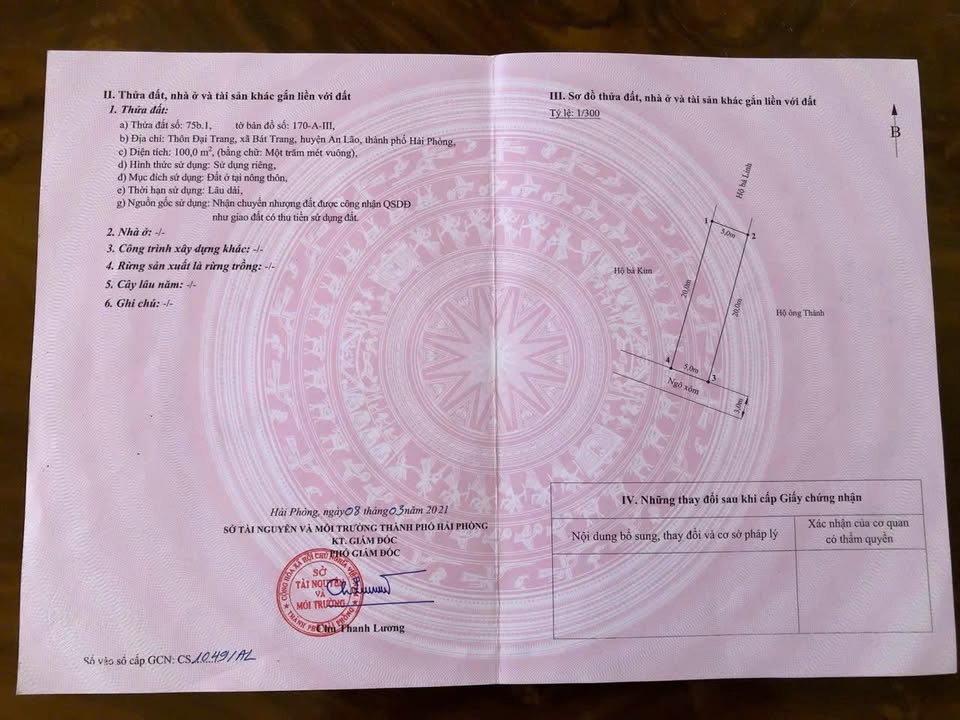 Đất nền Bát Trang, An Lão, Hải Phòng 100m² - Đường ô tô vào tận nơi!