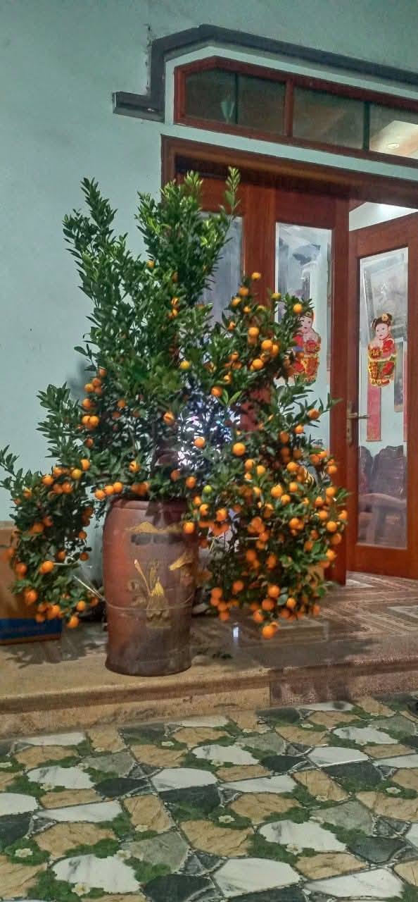 Đất nền Ninh Kiều, Tân Minh, 95m² giá đầu tư - Bán gấp!