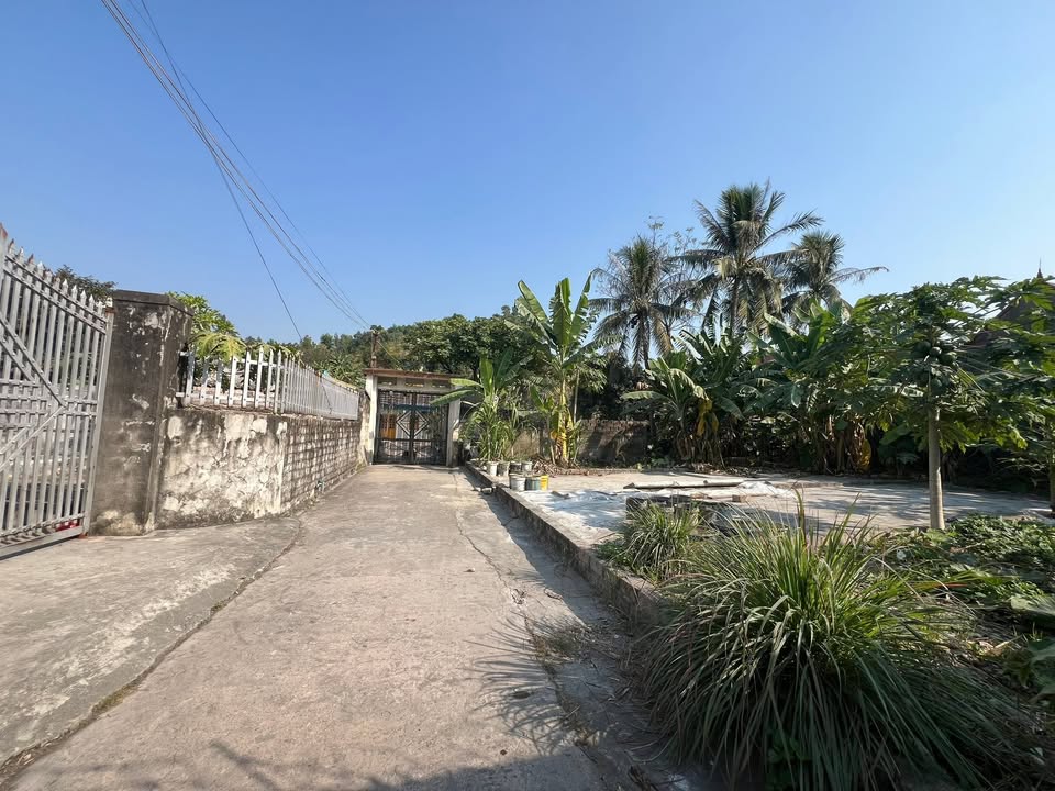 Bán 4 lô đất chính chủ tại xã Lại Xuân, Thủy Nguyên, Hải Phòng - Đầu tư sinh lời bền vững!