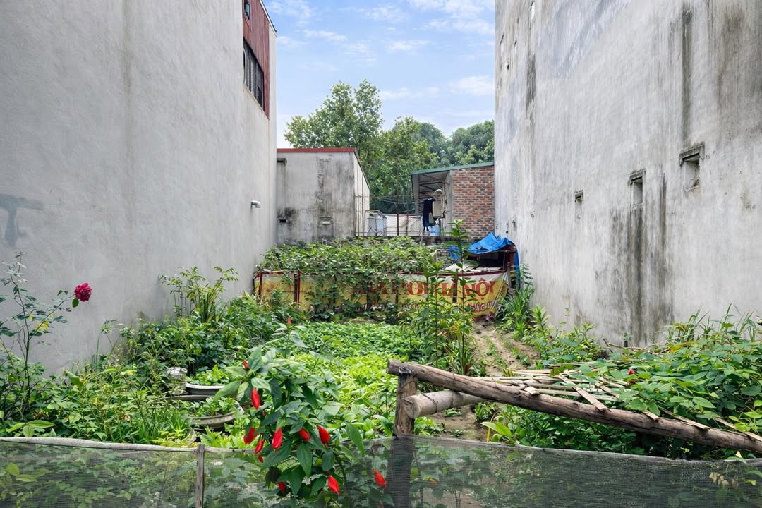 Đất thổ cư Tổ 5 Thị trấn Quang Minh 92m² - Cơ hội đầu tư hấp dẫn!