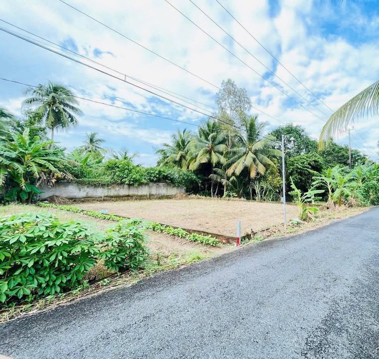 Đất nền mặt tiền đường Nguyễn Viết Xuân, Thới An Đông, 105m² giá 1.25 tỷ - Đầu tư sinh lời ngay!