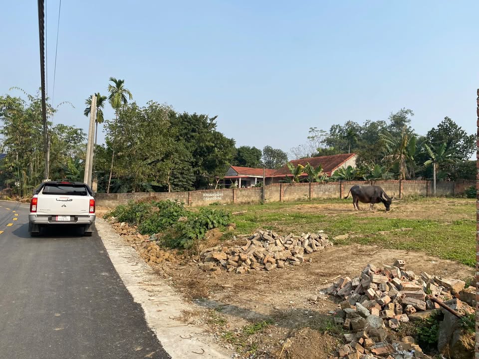 Đất K1 Lam Sơn - Tam Nông 246m² giá 1 tỷ - Lô góc 2 mặt tiền đẹp mắt!