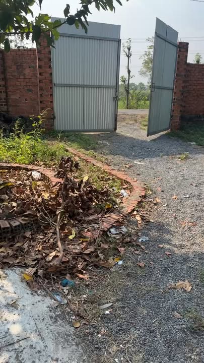 Nhà cấp 4 1260m² đường nhựa thông thương Trảng Bom, giá 1.5 tỷ - Đầu tư sinh lời!