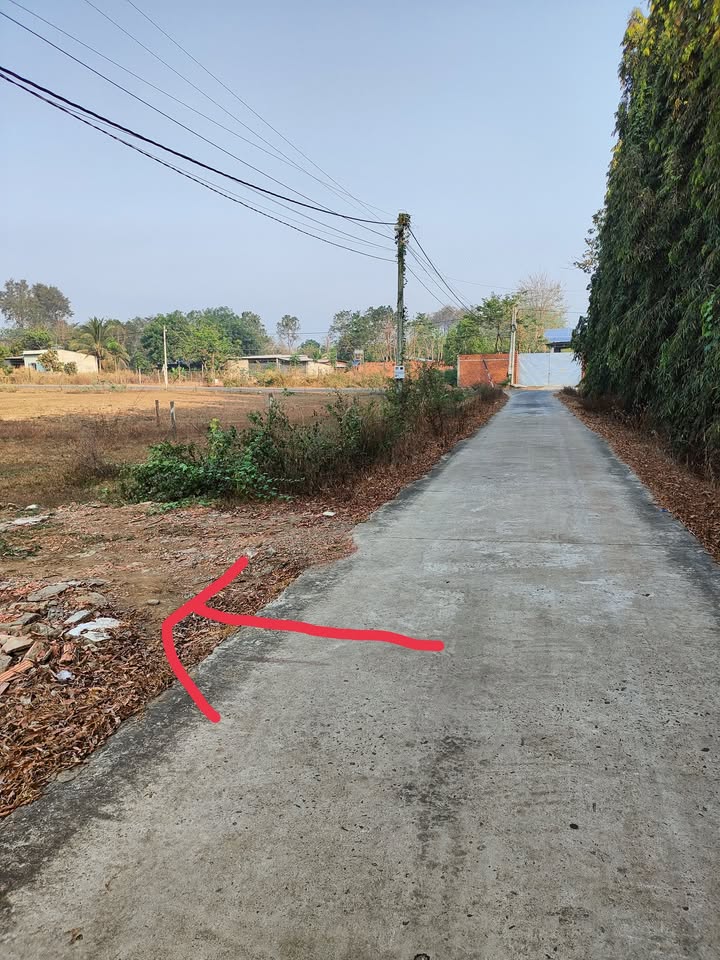 Đất thổ cư 225m² tại Thanh Lương, Bình Long - Giá chỉ từ 200 triệu!