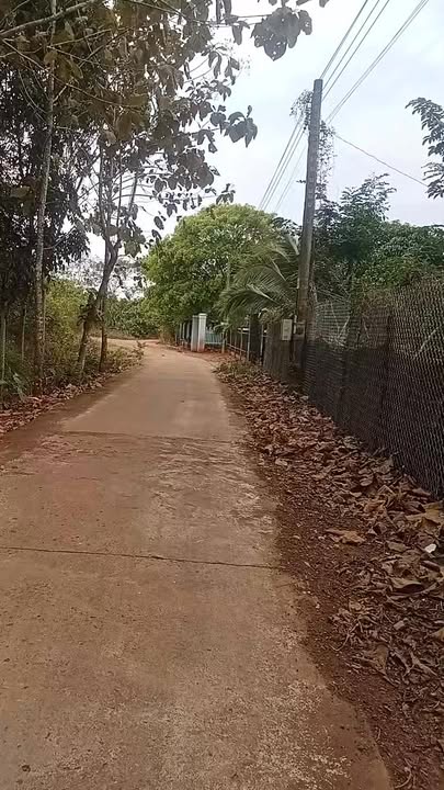 Đất thổ cư 350m² tại Xã Lộc Tấn giá 2 tỷ - Sổ riêng, chính chủ