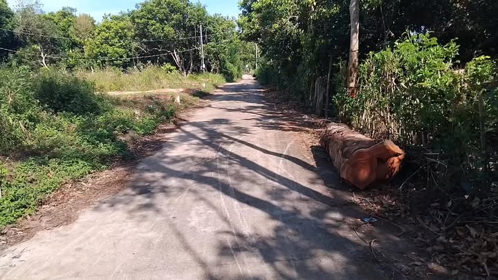 Đất nền 125m² tại xã Bảo Hòa, giá 730 triệu - Sổ riêng, thổ cư sẵn sàng!