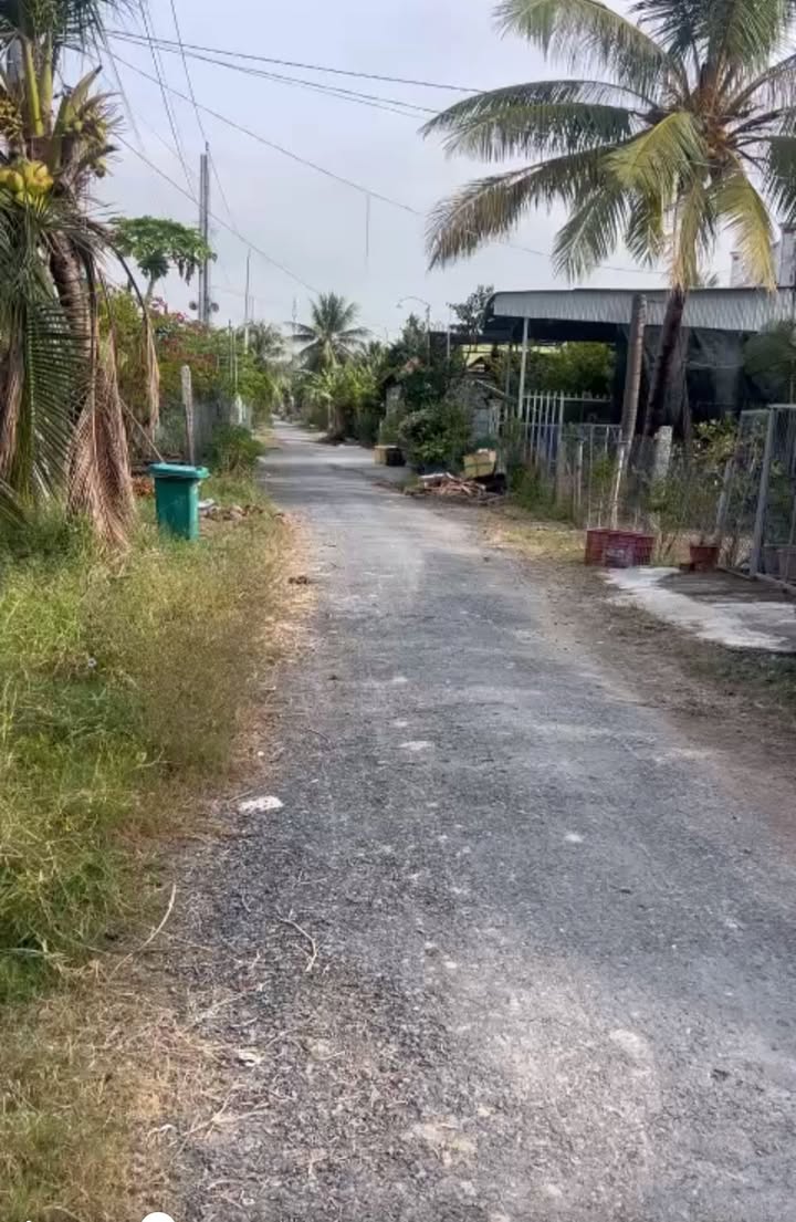 Đất thổ cư 168m² tại Tân Hộ Cơ, Tân Hồng giá 370 triệu - Cơ hội đầu tư tuyệt vời!