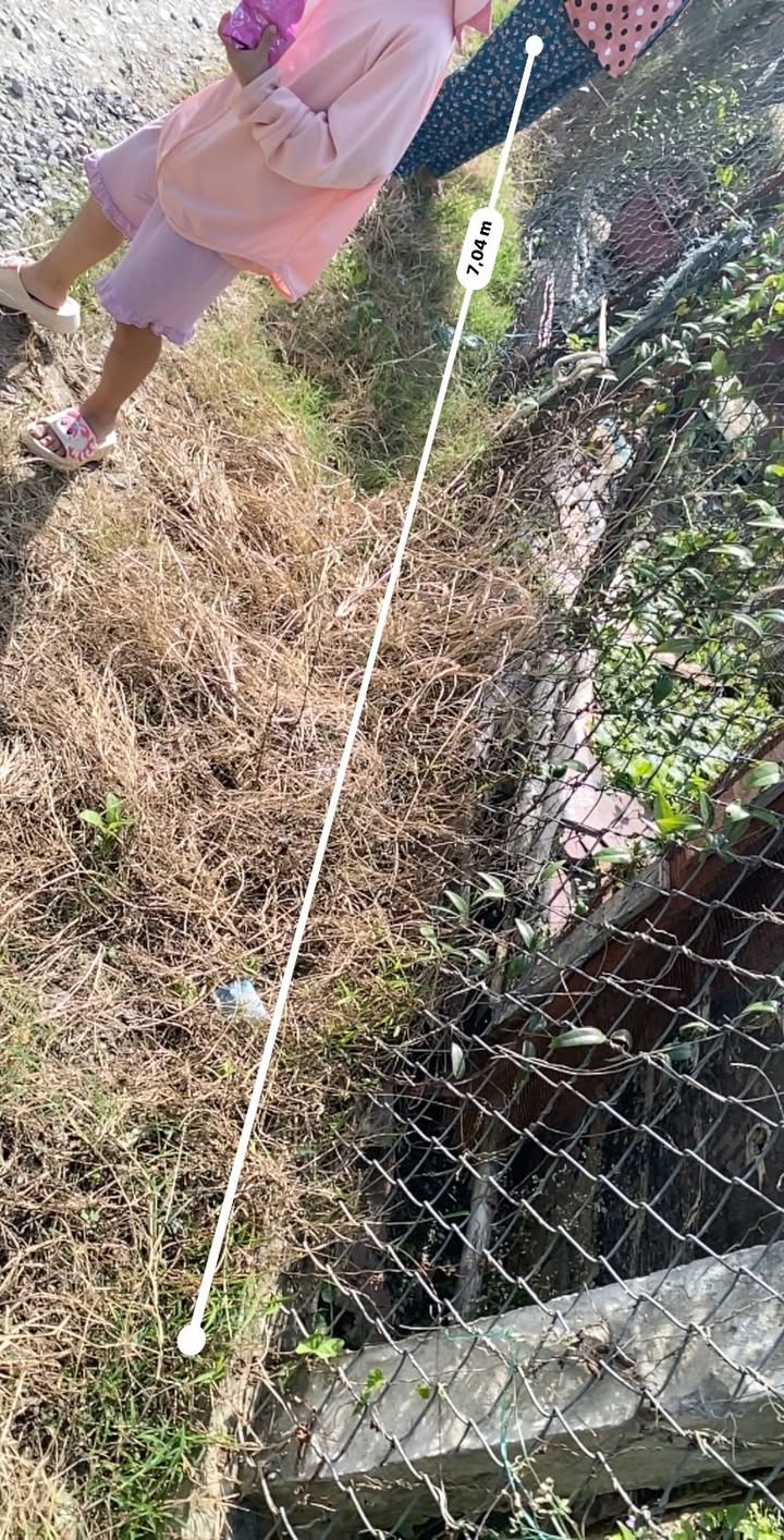 Đất nền 206m² tại xã Sơn Đông, Bến Tre - Giá chỉ 850 triệu - Sổ đỏ chính chủ!