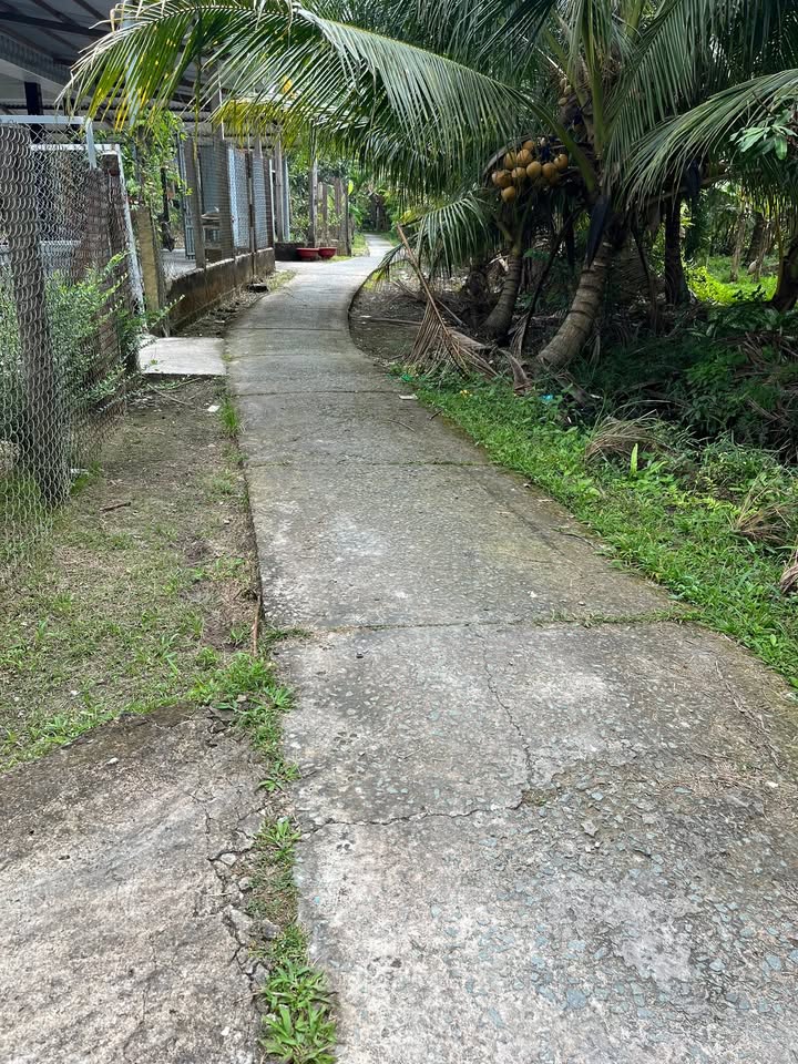 Nhà vườn Ấp Mỹ Phú, Xã Song Thuận, 900m² giá 1.5 tỷ - Đầu tư lý tưởng!