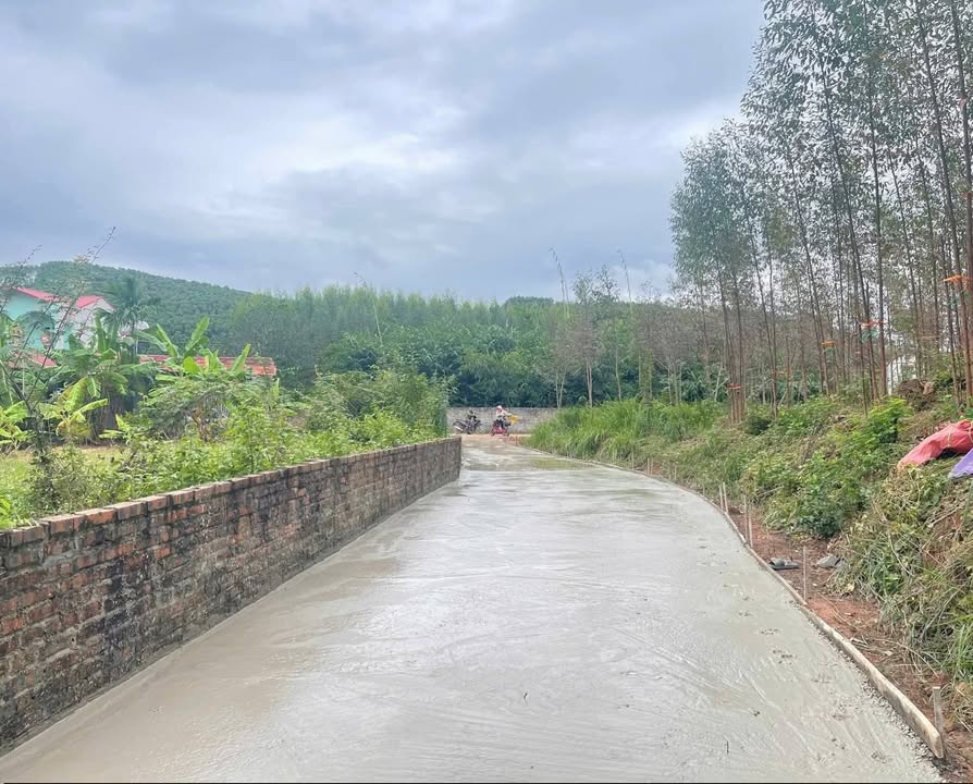 Đất nền Tiên Nha, Lục Nam, Bắc Giang 326m² giá 7 tỷ - Cơ hội đầu tư tuyệt vời!