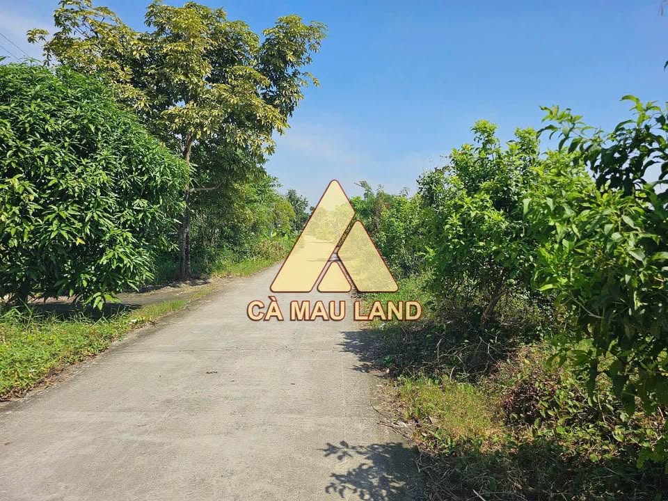 Đất mặt tiền Lý Văn Lâm 184m² giá 440 triệu - Cơ hội đầu tư hấp dẫn!