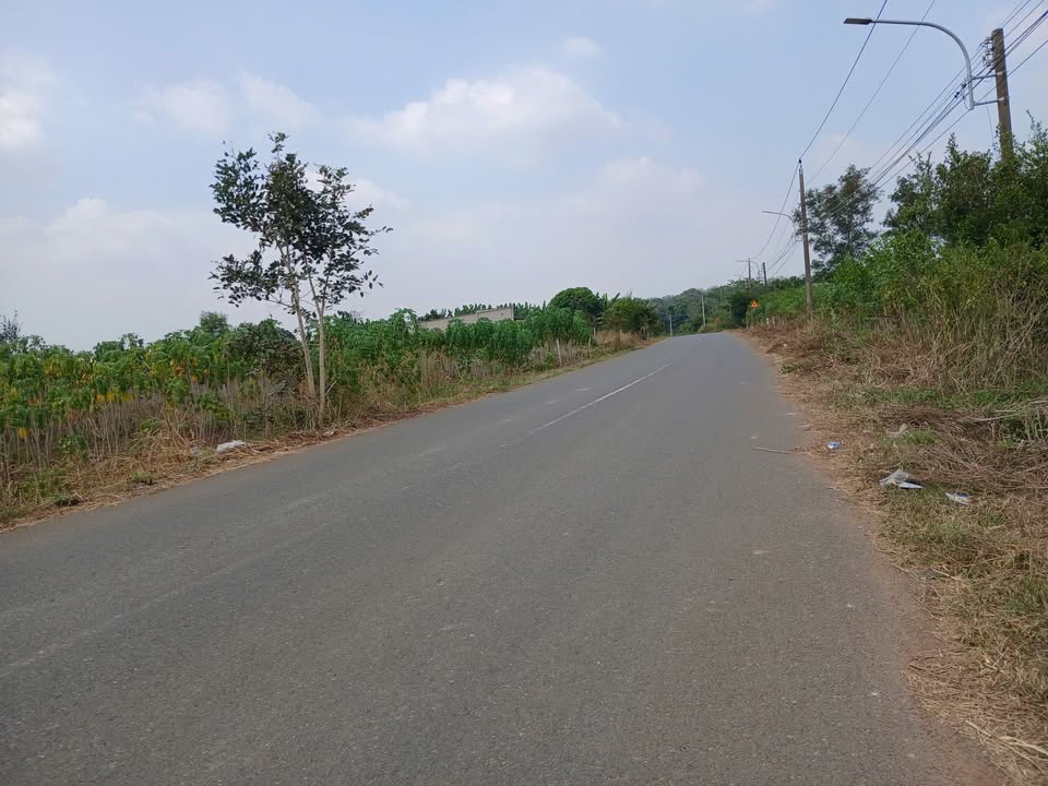 Đất thổ cư 556m² tại Ấp Cầu Ri, Phú Mỹ - Giá chỉ 2 tỷ, sẵn sàng giao dịch!