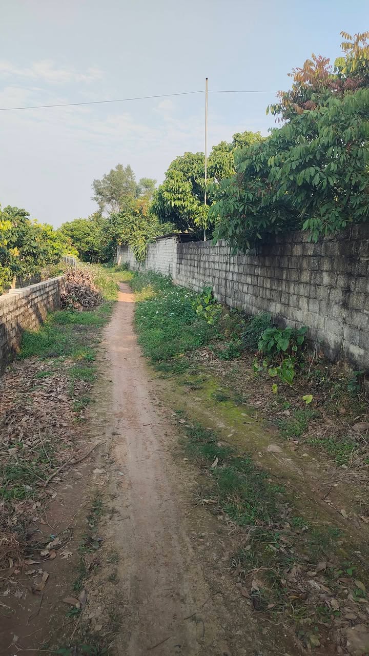 Đất nền xã Tân Hoa, Lục Ngạn 2000m² giá 1 tỷ - Đầu tư sinh lời ngay!