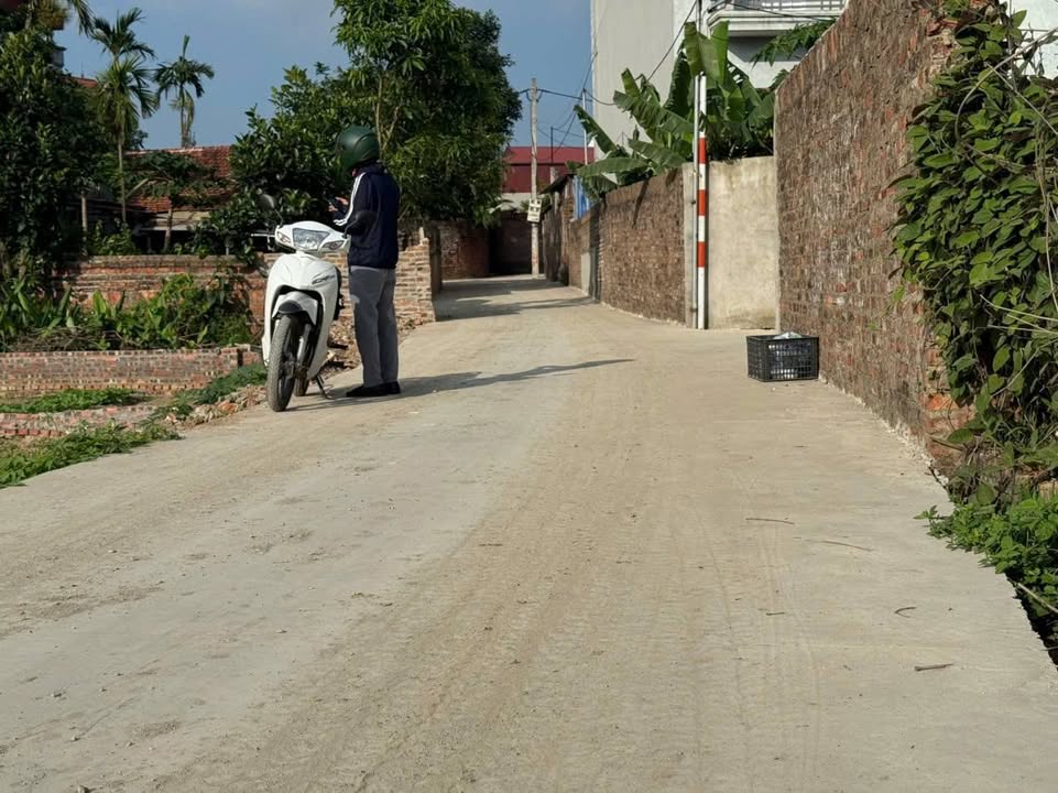 Đất thổ cư 100m² tại Thôn Tân Yên, Hồng Kỳ, Sóc Sơn - Giá đầu tư hấp dẫn chỉ 2x triệu!