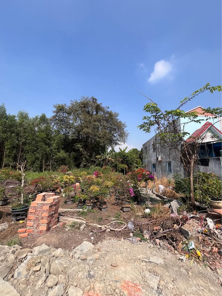 Đất thổ cư 96m² tại phường Tân Phong, Biên Hòa chỉ 1.15 tỷ - Cơ hội vàng cho đầu tư!